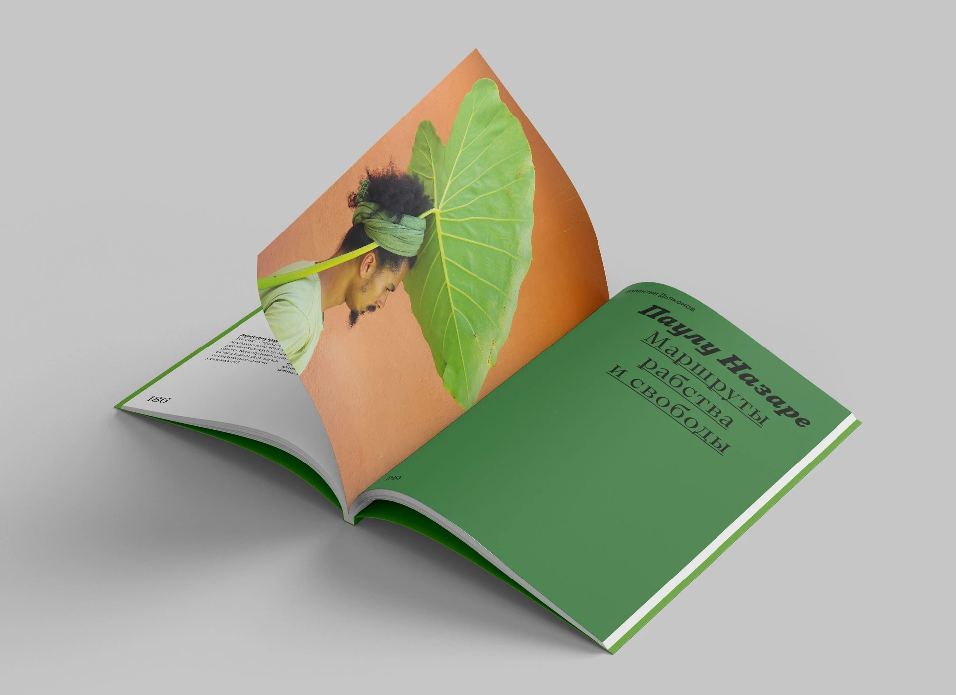 Артгид. Бразилия