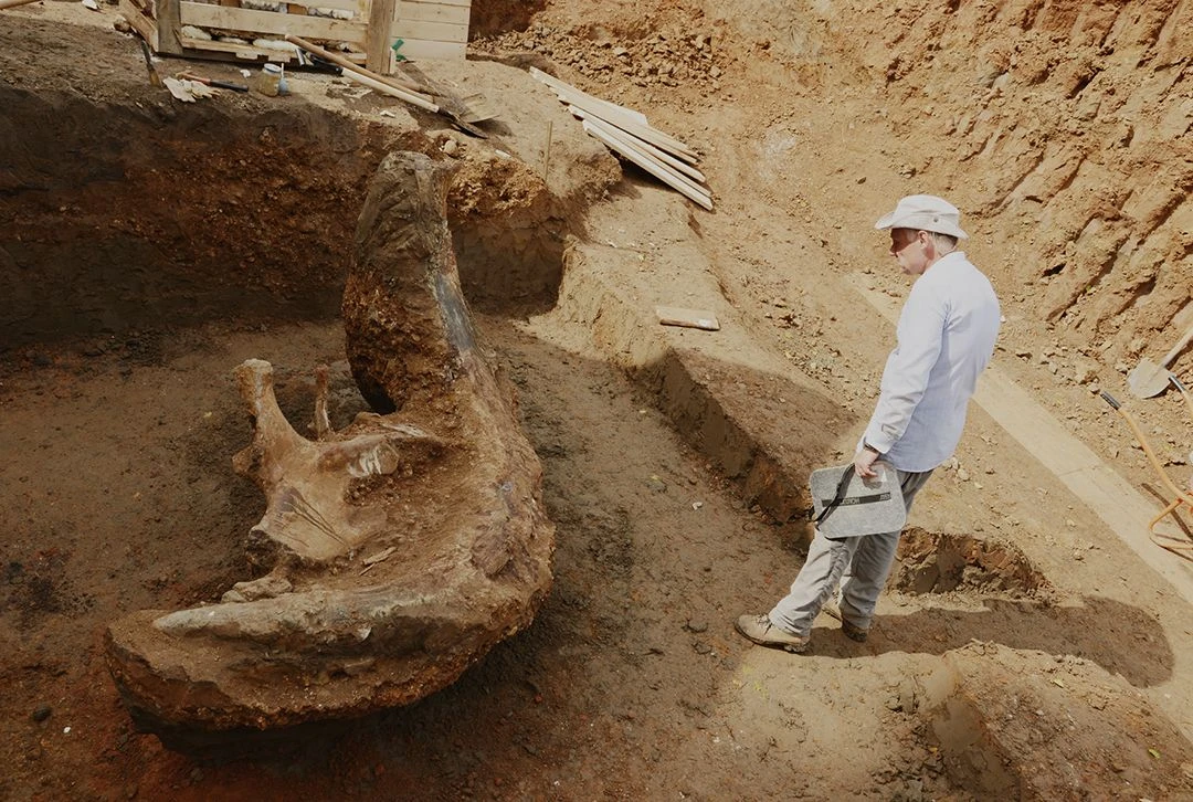 Научный руководитель раскопок Евгений Николаевич Мащенко (Палеонтологический институт РАН).<br>Фото: Пермский краеведческий музей