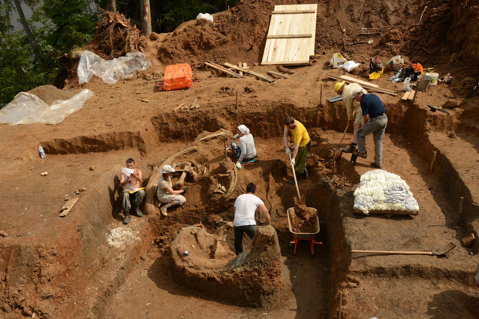 Раскопки на Оханском местонахождении. 2017.<br>Фото: предоставлено Михаилом Воскресенских