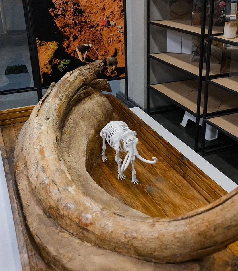 Слон как чудо