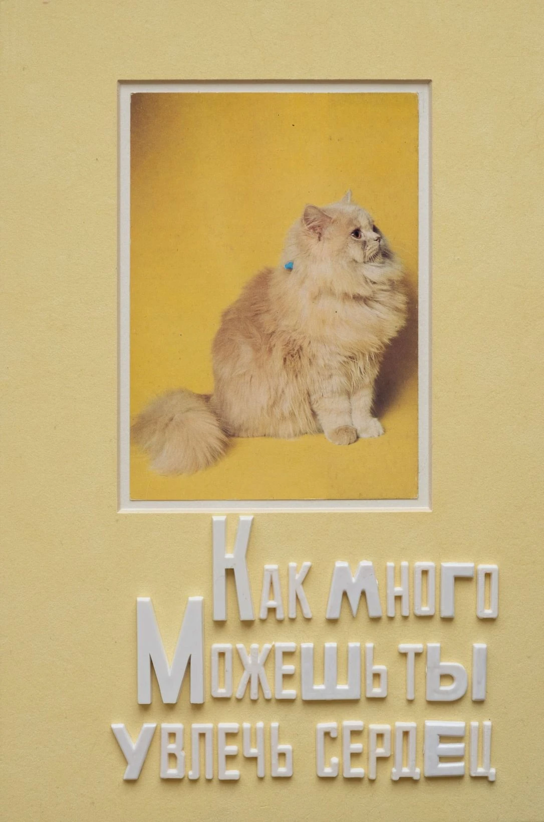 Без названия. 2025. Смешанная техника.<br>
Изображение: Галерея MYTH