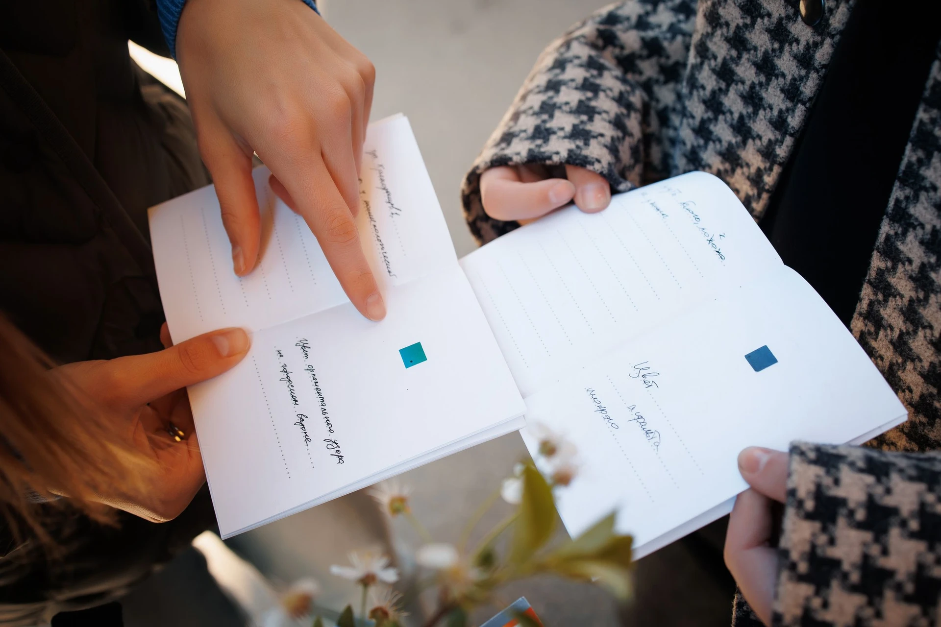 Цвет в городе. 2024. Прогулка (социально-вовлеченная практика).<br>
Фото: Сергей Тютелов / Музей «Арсенал», Нижний Новгород