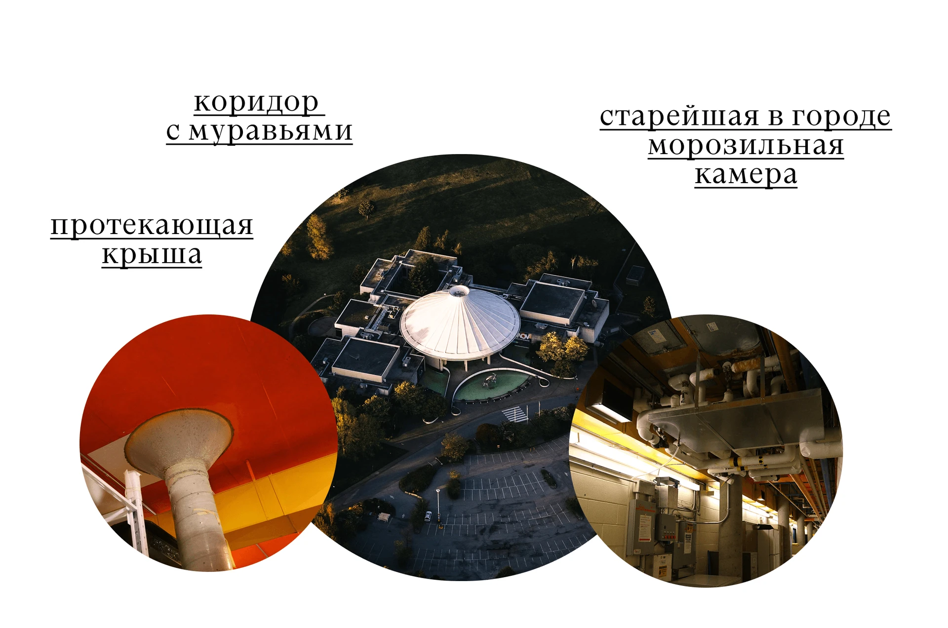 Музей Ванкувера водит посетителей по своим проблемным местам