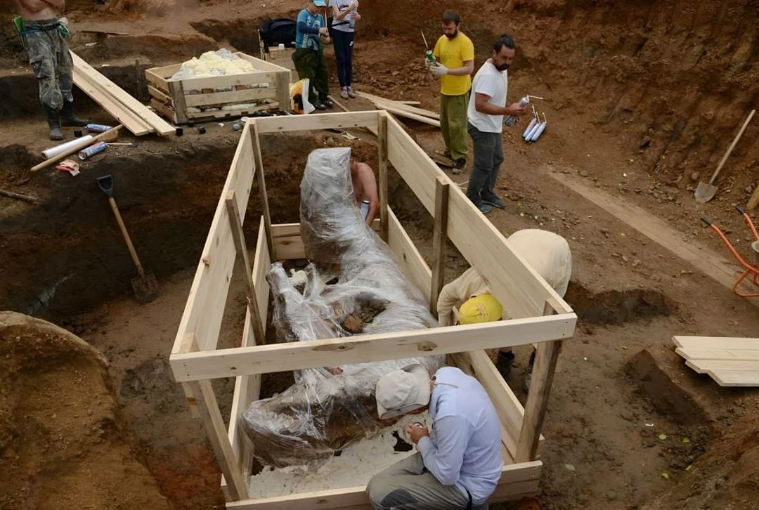 Раскопки на Оханском местонахождении. 2017.<br>Фото: предоставлено Михаилом Воскресенских