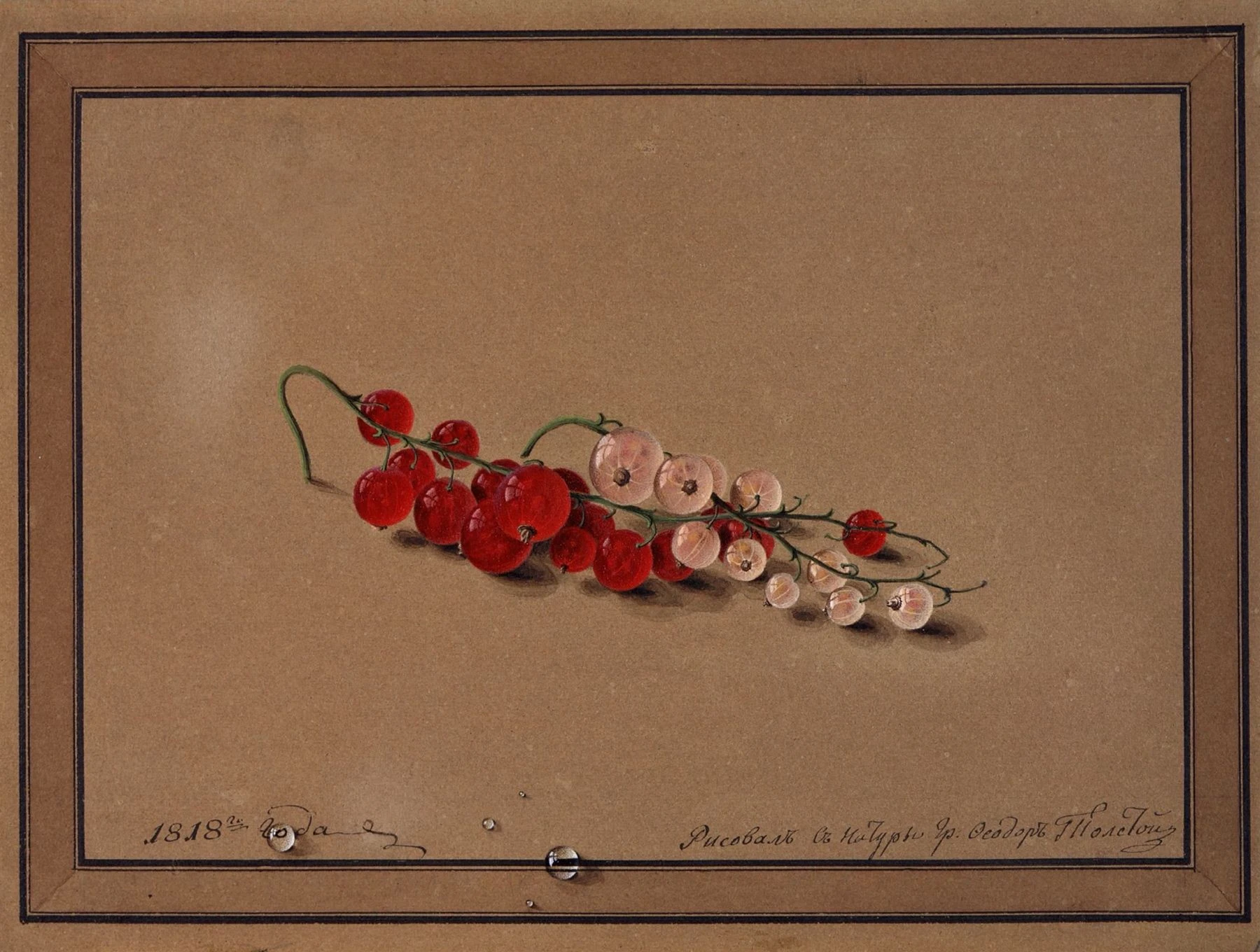 Ягоды красной и белой смородины. 1818. Бумага, акварель, белила.<br>Изображение: Государственная Третьяковская галерея, Москва