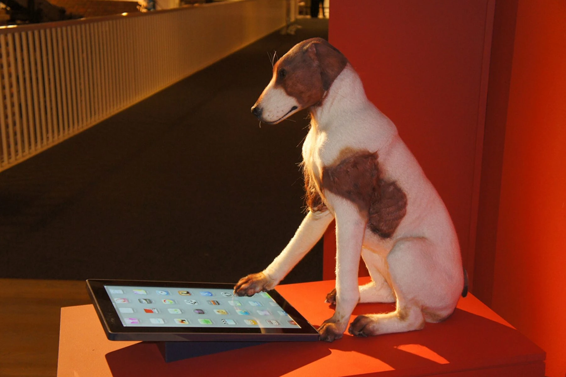iPaw. 2011. Кинетическая интернет-мем-скульптура.<br>Фото: FACT Liverpool