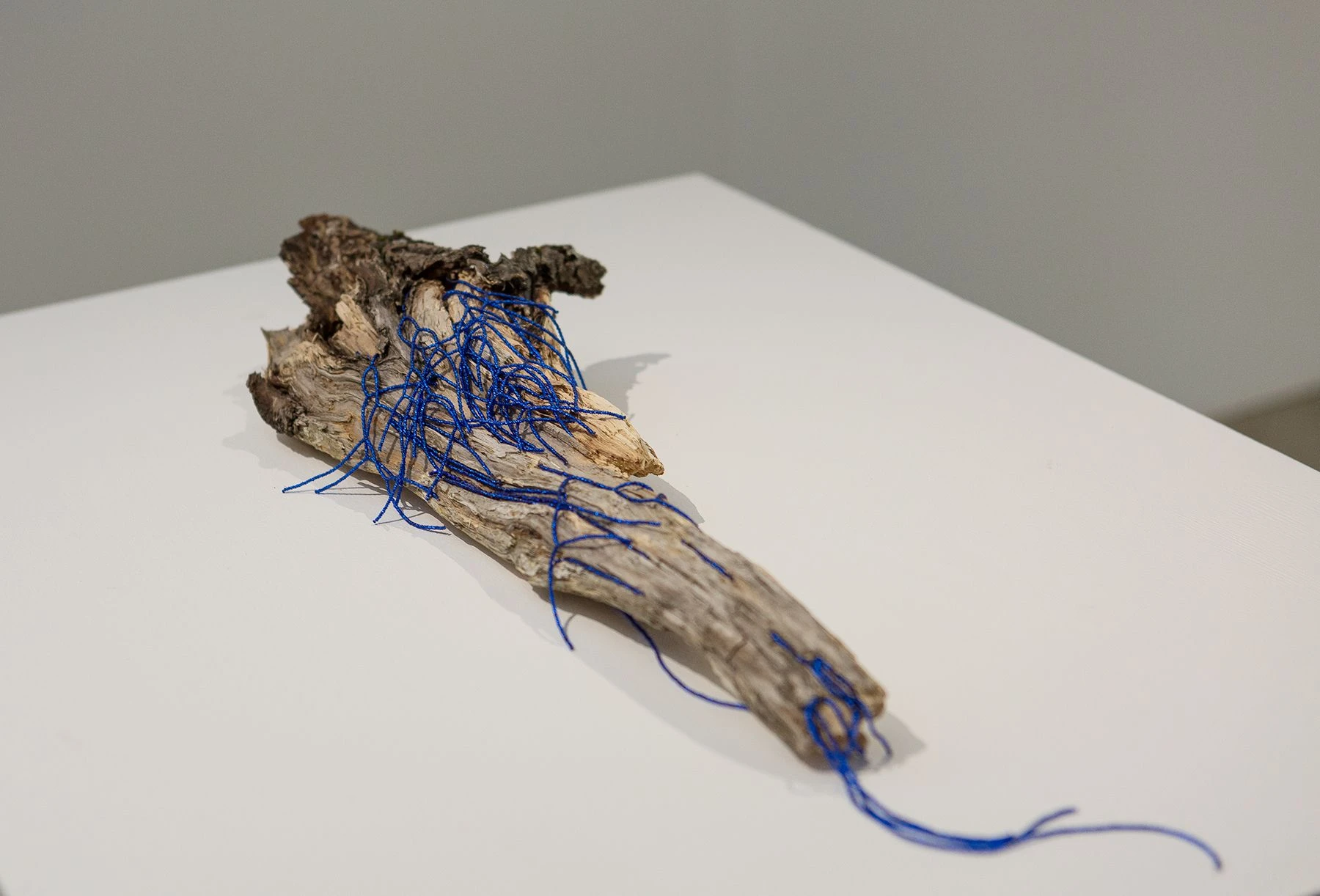 Объект из серии «Мощи хтонического божества». 2024. Дерево, бисер. Фонд MaxArt. <br>
Фото: Дебаркадер-30 / MaxArt