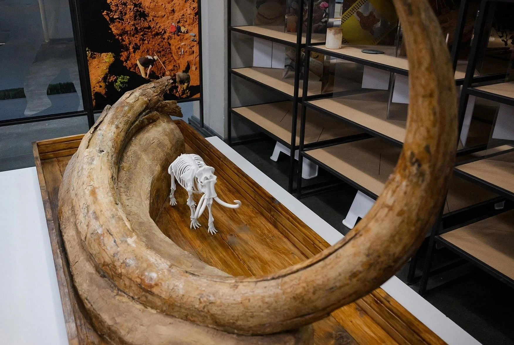 Слон как чудо