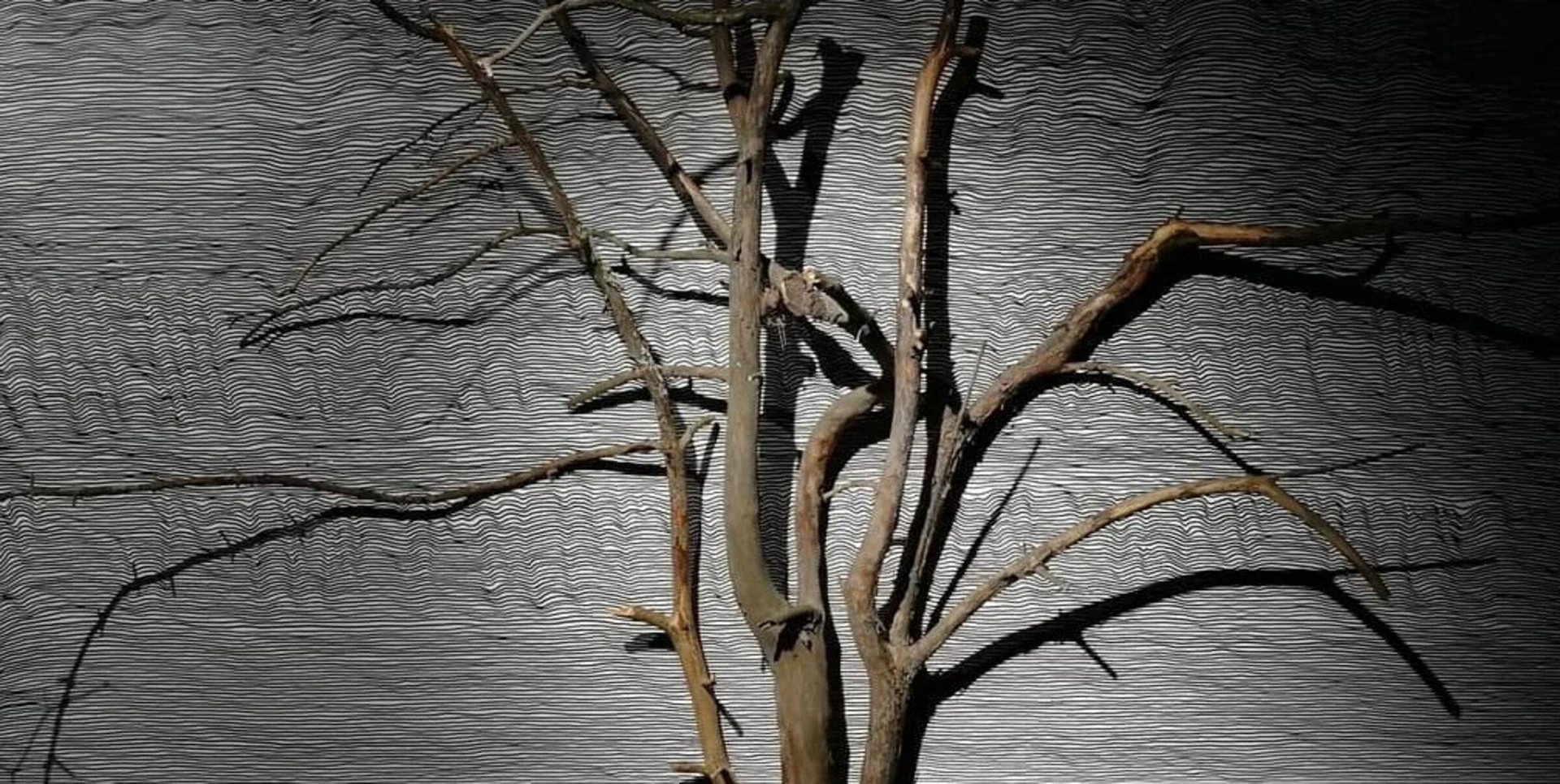 Пустота, ничто и идея продолжения. 2019. Дерево, фанера, масло, полевые записи.<br>
Фото: Константин Росляков