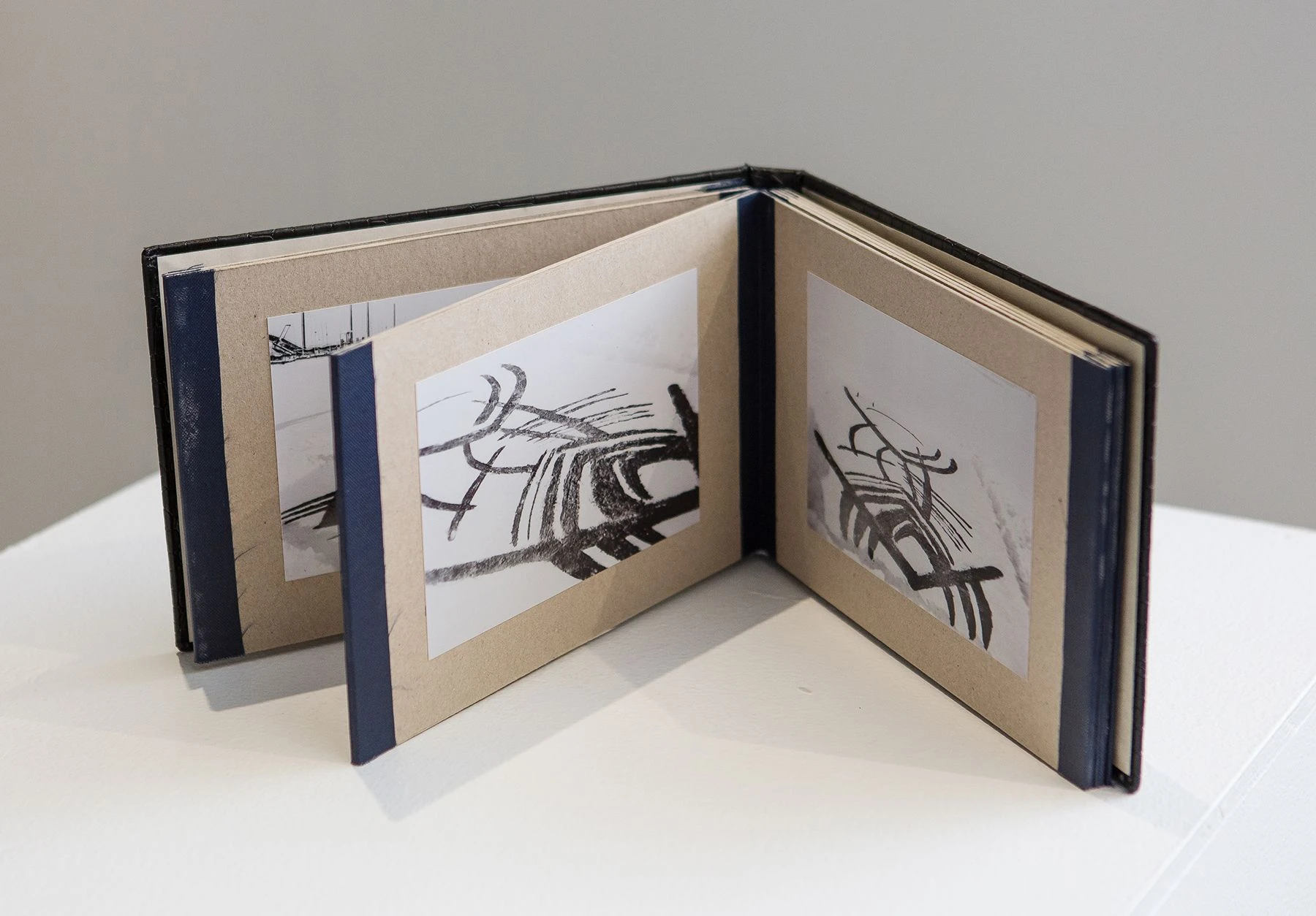 Хо. 2025. Книга художника. Фонд MaxArt. <br>
Фото: Дебаркадер-30 / MaxArt