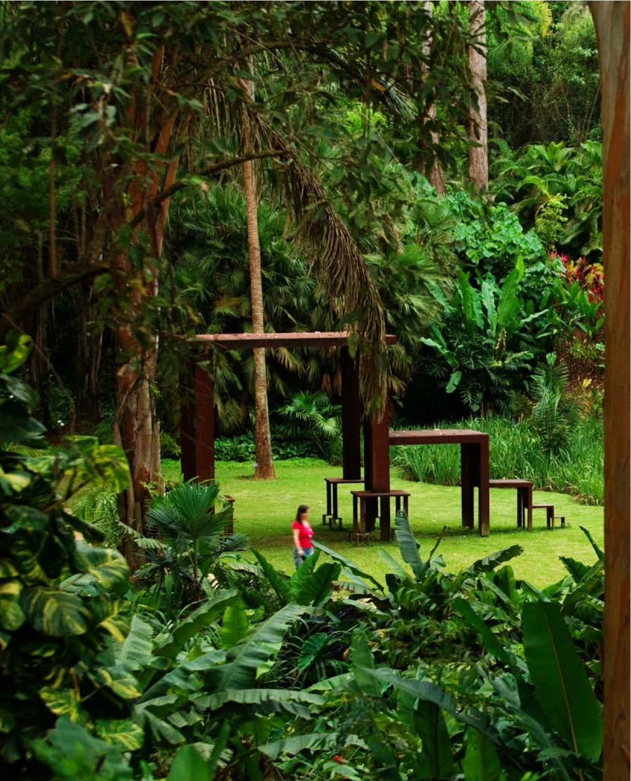 Магнат строит парк развлечений