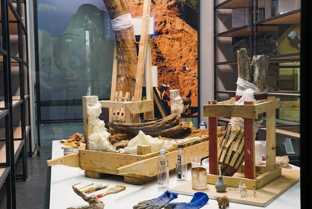 Фрагмент выставки «Вокруг слона. Научные приключения» в Музее пермских древностей.<br>Фото: Пермский краеведческий музей