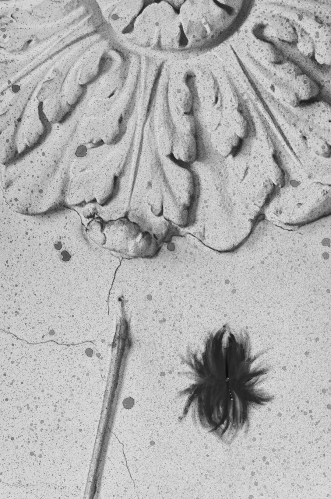 Звезда в подъезде #06. Из проекта «Звезда в подъезде». 2025. Принт, смешанная техника, латунь.<br>
Изображение: Nikolay Evdokimov Gallery, Санкт-Петербург