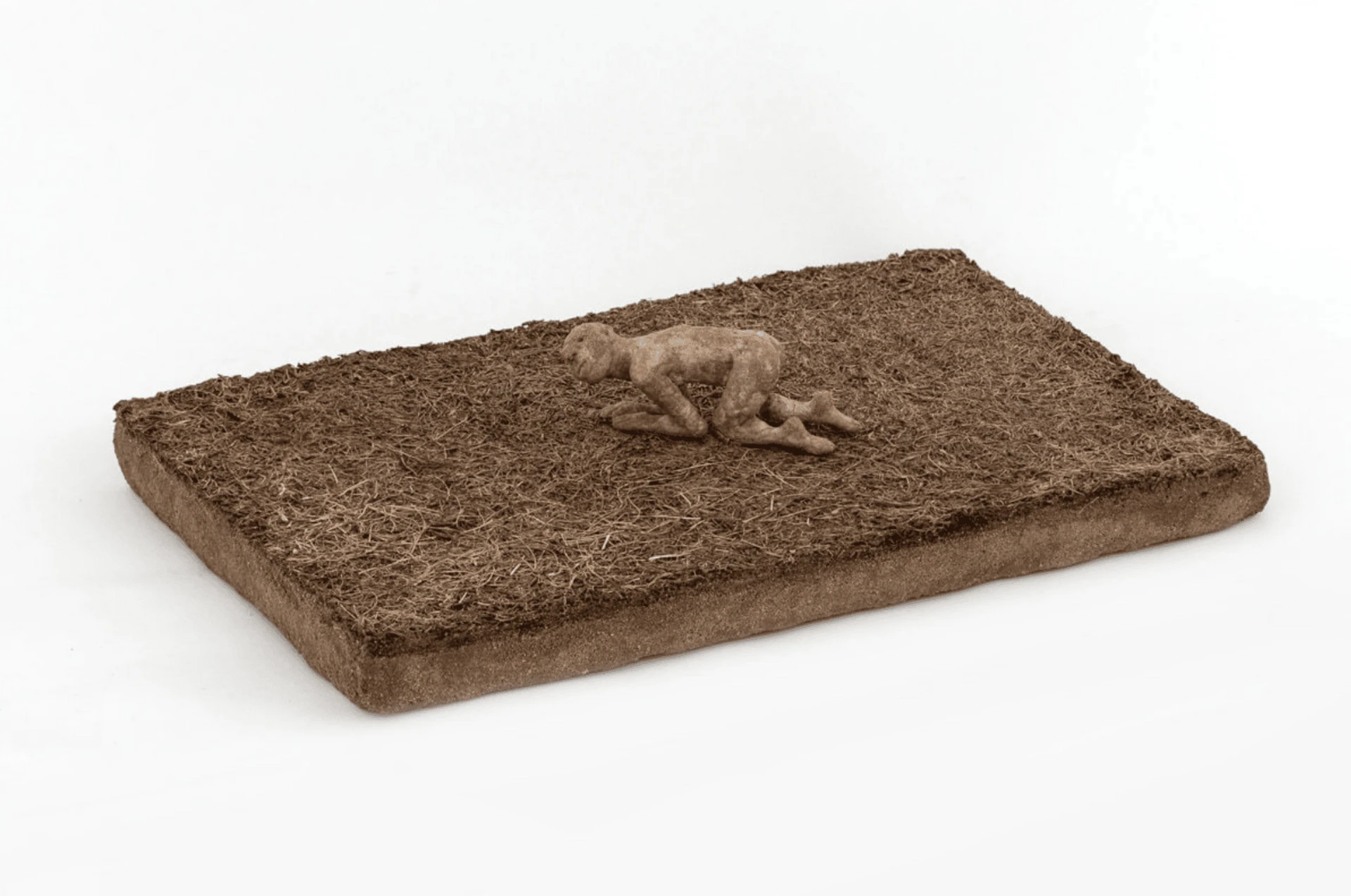 Ползущий по земле. 2020. Хлеб, соль, металл, клей ПВА, земля, дерево.<br>
Фото: Галерея Анна Нова, Санкт-Петербург