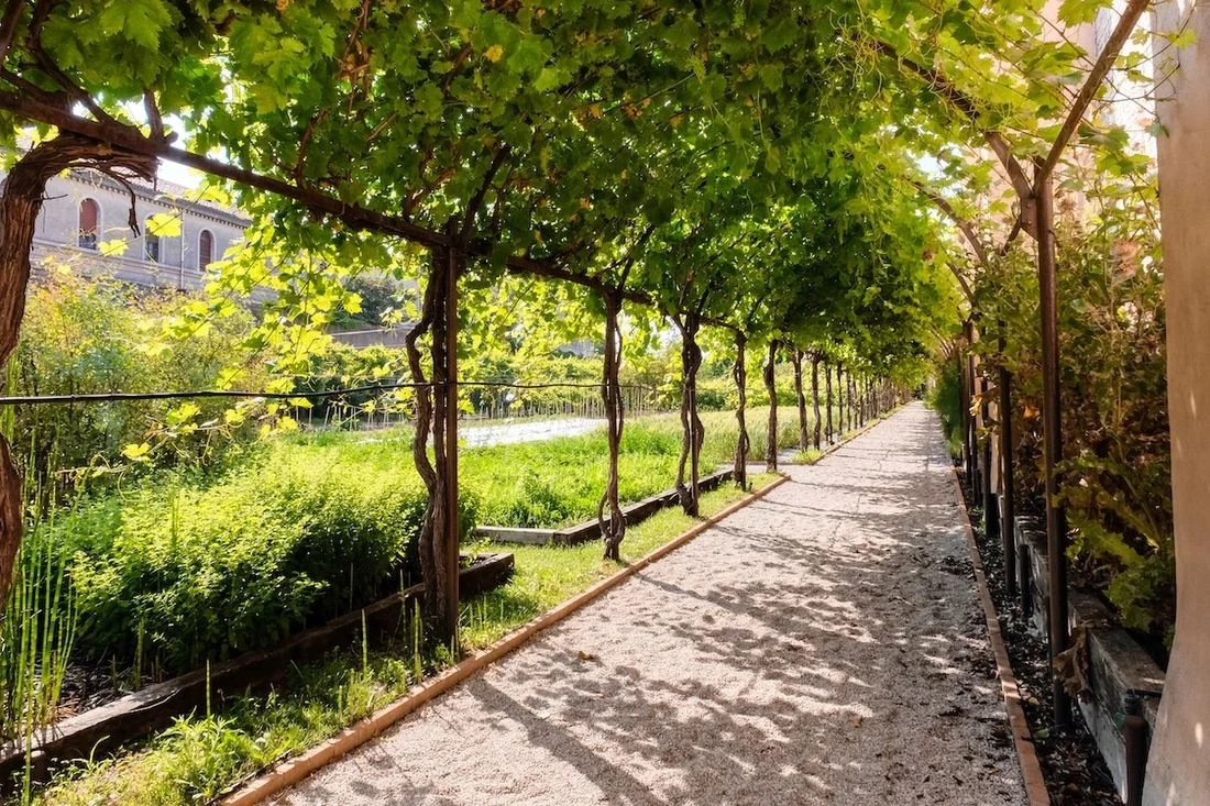 Ватикан представит на Венецианской биеннале музыку Джима Джармуша и Брайана Ино