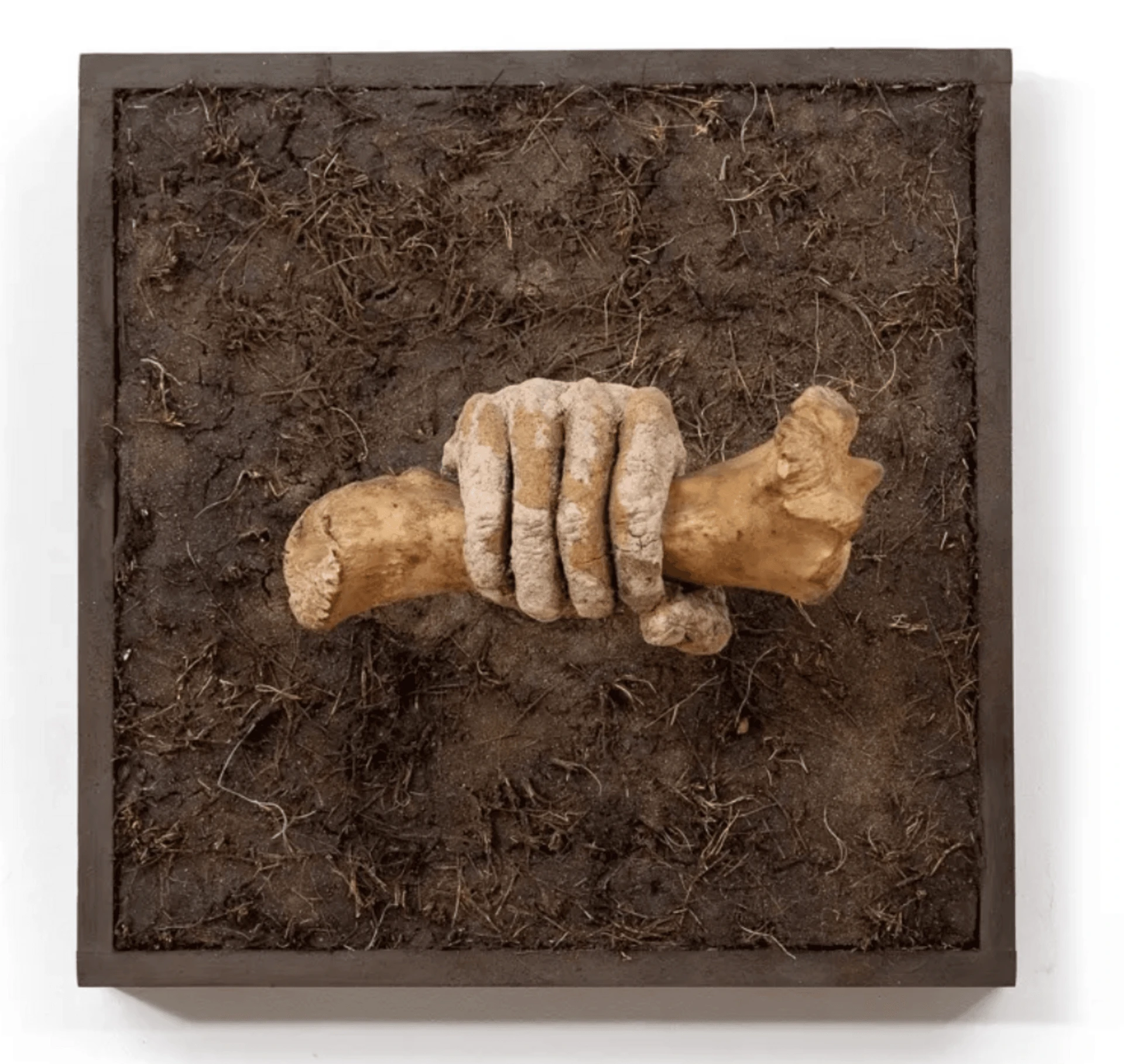 Без названия (рука с костью). 2015. Хлеб, соль, ПВА, металл, дерево, земля, акрил, кость.<br>
Фото: Галерея Анна Нова, Санкт-Петербург