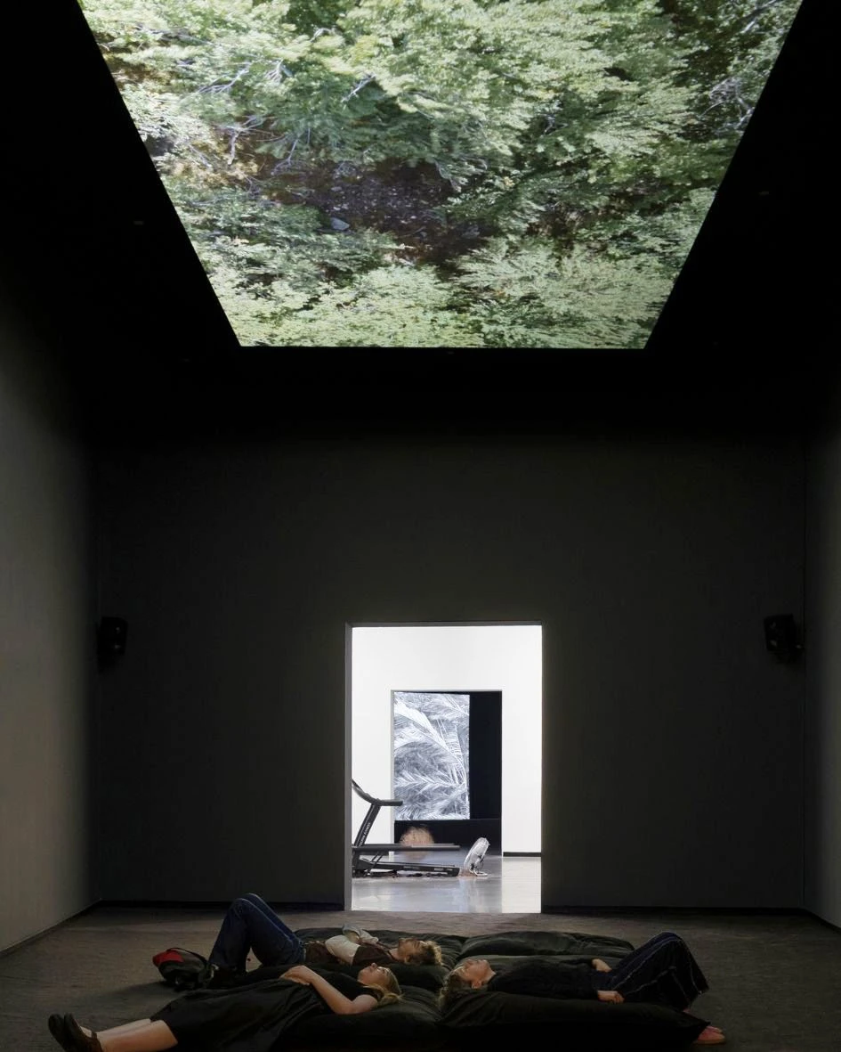 Фрагмент выставки «Юлиус фон Бисмарк: это не шторм». 2026. <br>Фото: Австралийский центр современного искусства, Мельбурн