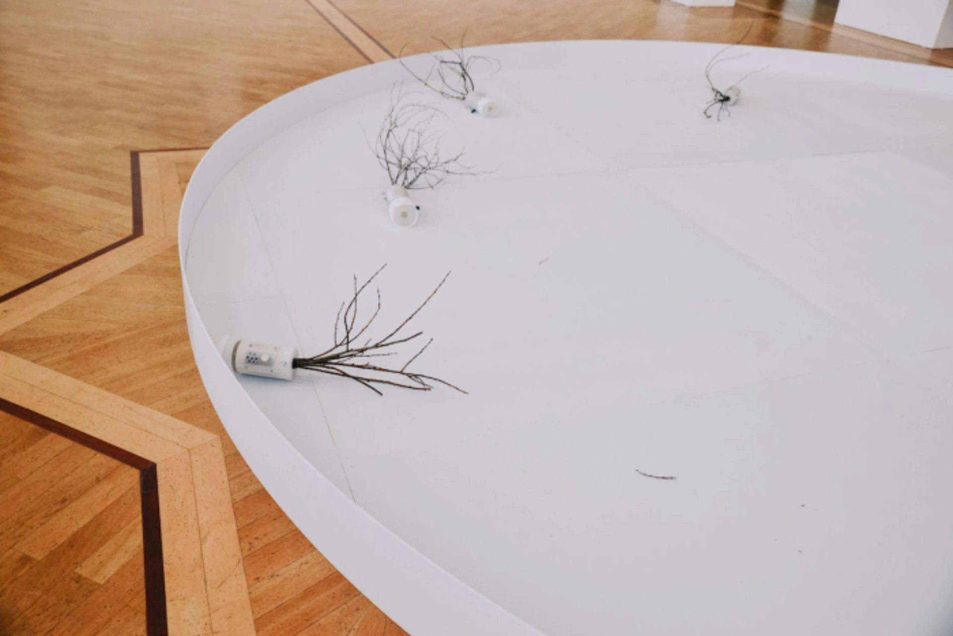 В поисках почвы. 2025. Пластик, дерево, электроника, полевые записи, записи с пением людей.<br>
Фото: Константин Росляков