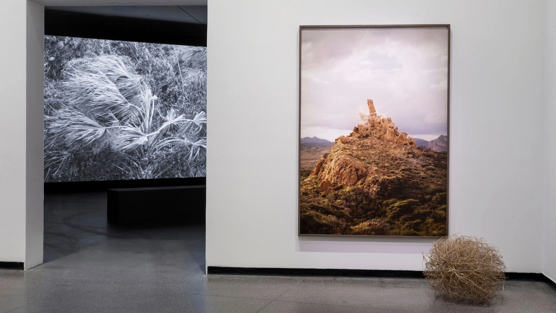 Фрагмент выставки «Юлиус фон Бисмарк: это не шторм». 2026. <br>Фото: Австралийский центр современного искусства, Мельбурн