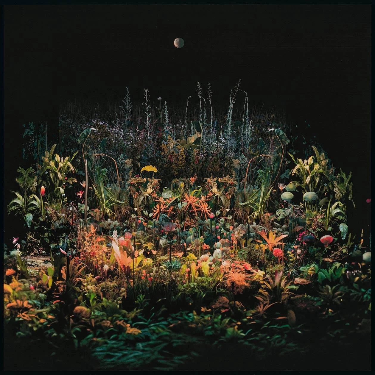 Магнитное поле. 2023. Фотография. <br>Фото: Бостонский музей изящных искусств